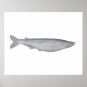 Baboso Poster (Voorkant)