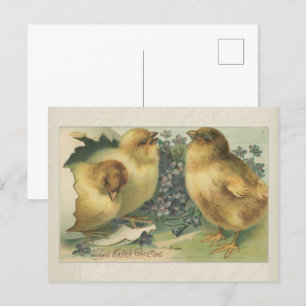Baby 1898 Snijrooster Briefkaart