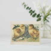  Baby 1898 Snijrooster Briefkaart (Staand voorkant)