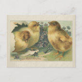  Baby 1898 Snijrooster Briefkaart (Voorkant)