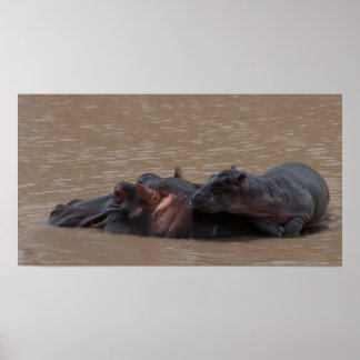 Baby aan boord poster