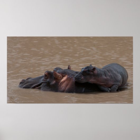 Baby aan boord poster (Voorkant)