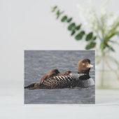 Baby aan boord van postkaart (Staand voorkant)