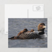 Baby aan boord van postkaart (Voorkant / Achterkant)