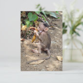 Baby aap (Staand voorkant)