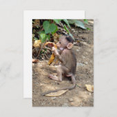 Baby aap (Voorkant / Achterkant)