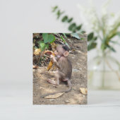 Baby aap briefkaart (Staand voorkant)