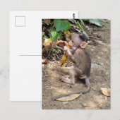 Baby aap briefkaart (Voorkant / Achterkant)