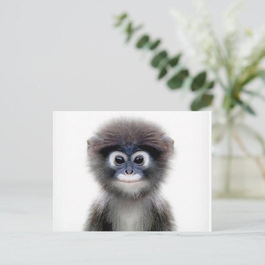 baby aap briefkaart (Staand voorkant)