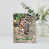 Baby aap briefkaart (Staand voorkant)