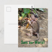 Baby aap briefkaart (Voorkant / Achterkant)