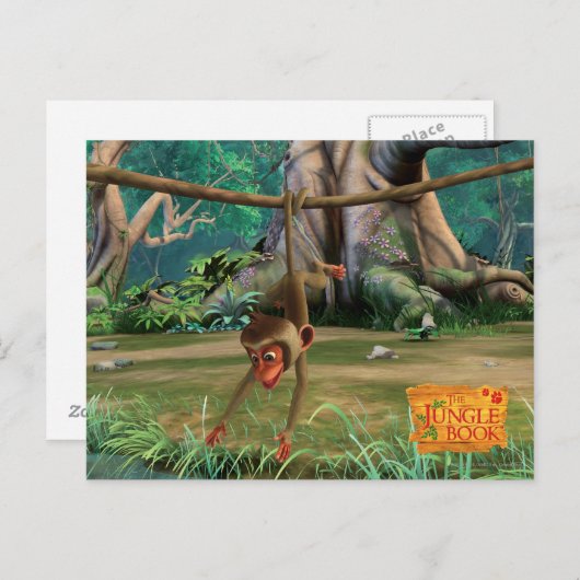 Baby aap briefkaart (Voorkant / Achterkant)