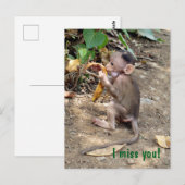 Baby aap briefkaart (Voorkant / Achterkant)