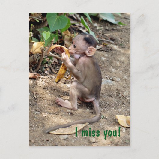 Baby aap briefkaart (Voorkant)