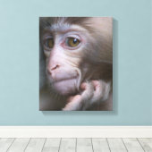 Baby aap canvas afdruk (Insitu (Houten vloer))