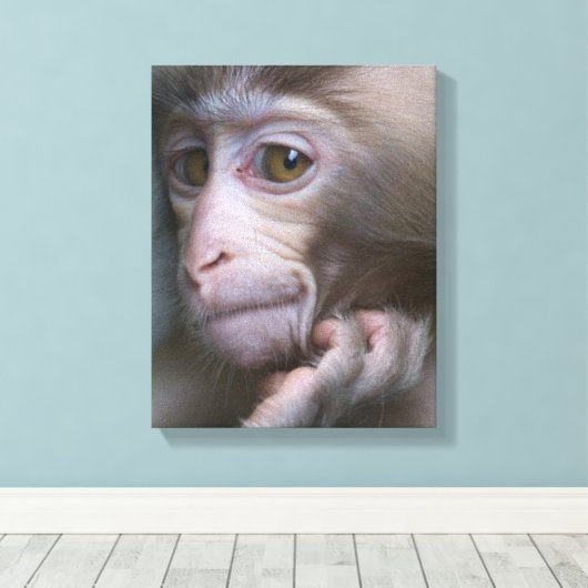 Baby aap canvas afdruk (Insitu (Houten vloer))