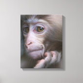 Baby aap canvas afdruk (Voorkant)