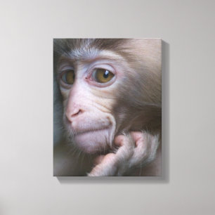 Baby aap canvas afdruk
