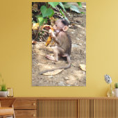 Baby aap canvas afdruk (Insitu (Woonkamer))