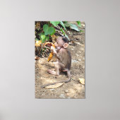 Baby aap canvas afdruk (Voorkant)