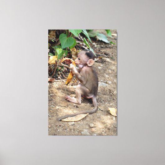 Baby aap canvas afdruk (Voorkant)