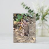 Baby aap feestdagenkaart (Staand voorkant)