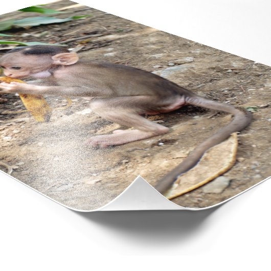 Baby aap foto afdruk (Hoek)