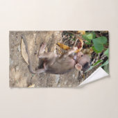 Baby aap handdoek (Handdoek)