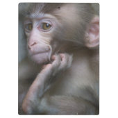 Baby aap klembord (Achterkant)