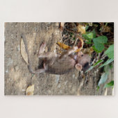 Baby aap legpuzzel (Horizontaal)