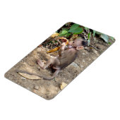 Baby aap magneet (Linkerzijde)