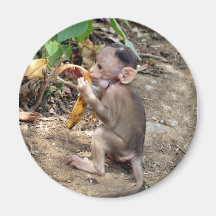 Baby aap