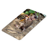 Baby aap magneet (Linkerzijde)