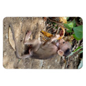 Baby aap magneet (Horizontaal)