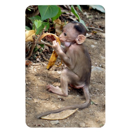 Baby aap magneet (Verticaal)