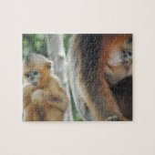 Baby aap met zijn moeder legpuzzel (Horizontaal)