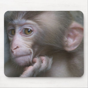 Baby aap muismat