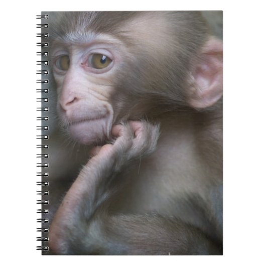 Baby aap notitieboek (Voorkant)