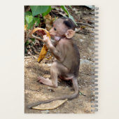 Baby aap notitieboek (Achterkant)