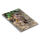 Baby aap notitieboek (Rechterzijde)