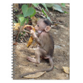 Baby aap notitieboek (Voorkant)