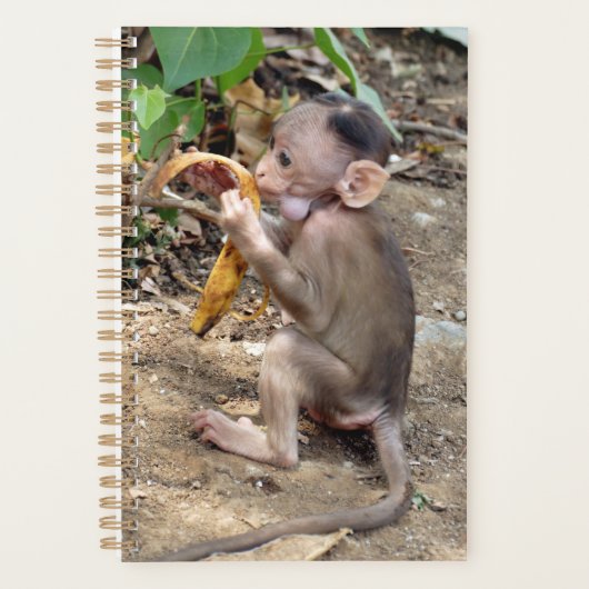Baby aap planner (Voorkant)