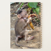 Baby aap planner (Achterkant)
