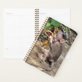 Baby aap planner (Display)