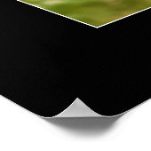 Baby aap poster (Hoek)