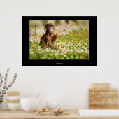 Baby aap poster (Keuken)