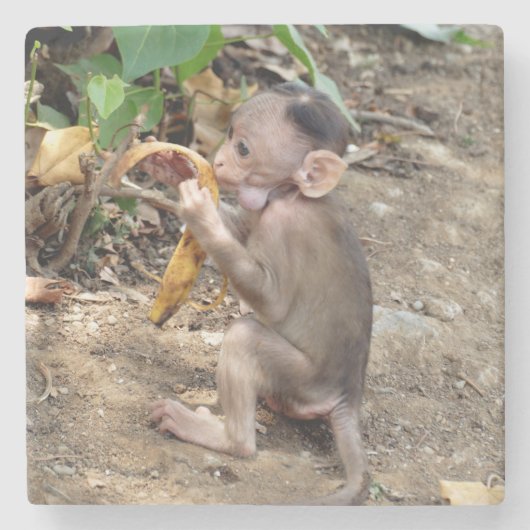 Baby aap stenen onderzetter (Voorkant)
