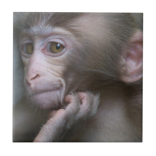 Baby aap tegeltje (Voorkant)