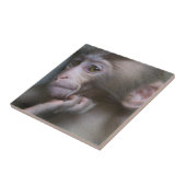 Baby aap tegeltje (Zijkant)