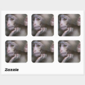 Baby aap vierkante sticker (Vel)